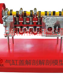 气缸盖解剖解剖模型