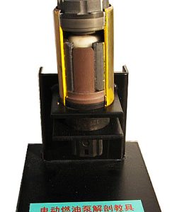 电动燃油泵解剖模型